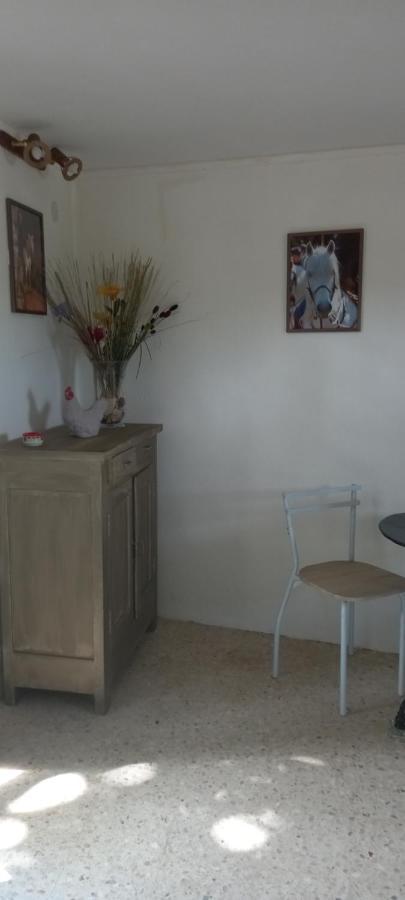 Petite Maison Dans La Campagne A 10 Mn A Pied Du Centre Ville Arles Esterno foto